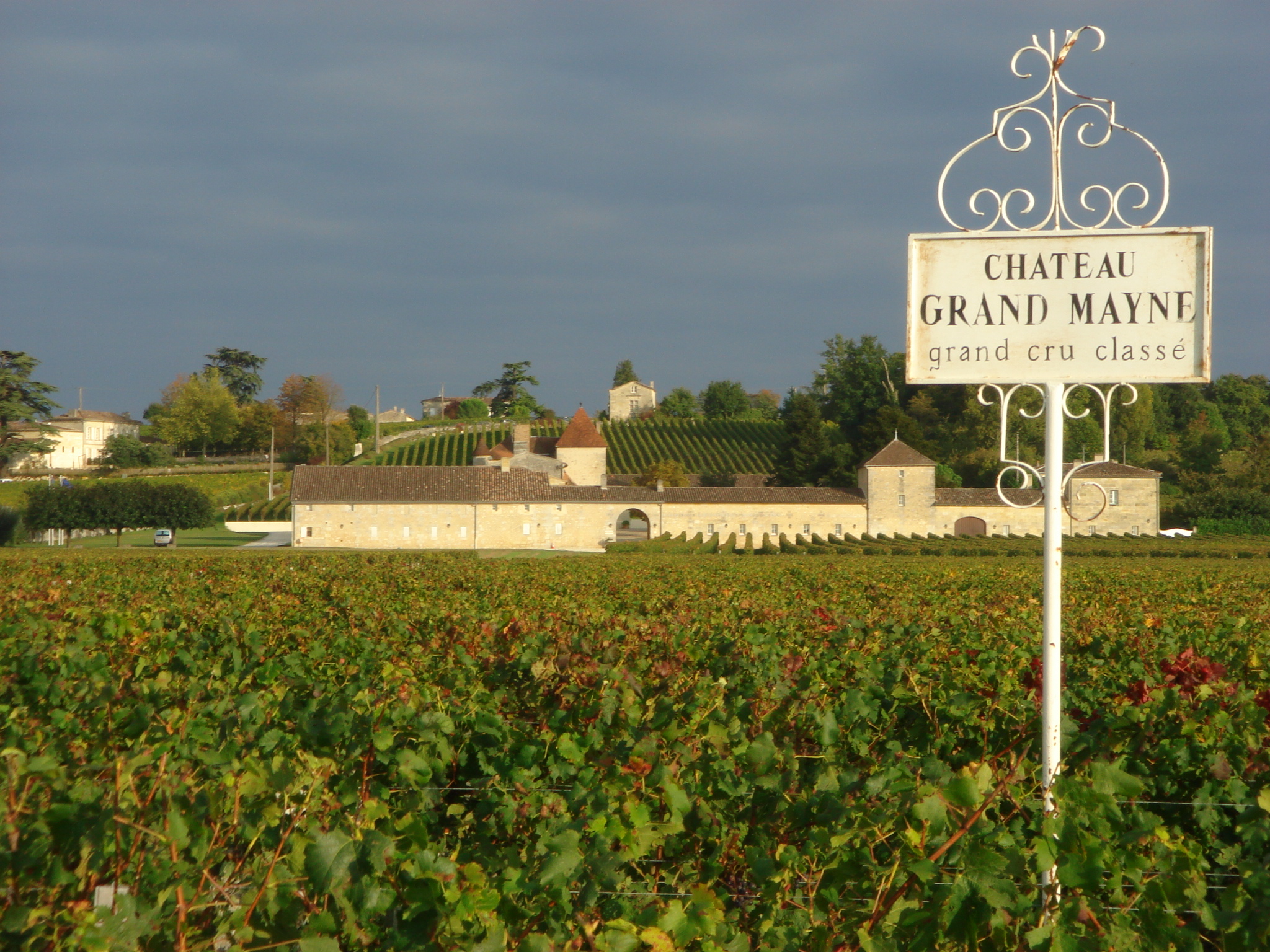 Château Grand Mayne